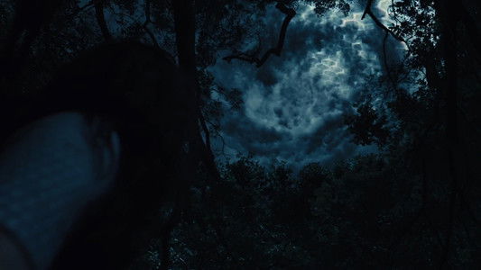 The Hunger Games: Catching Fire