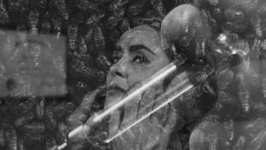 The Wasp Woman