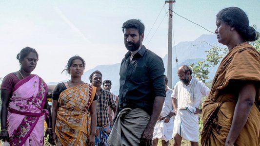 கொட்டுக்காளி