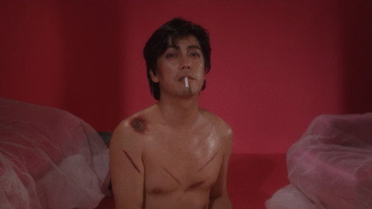 Mishima: A Life in Four Chapters