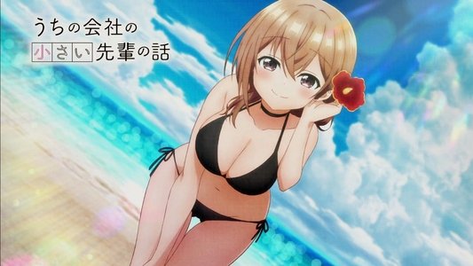 うちの会社の小さい先輩の話