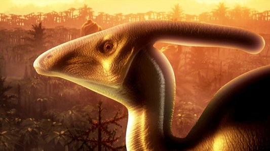 Bizarre Dinosaurs