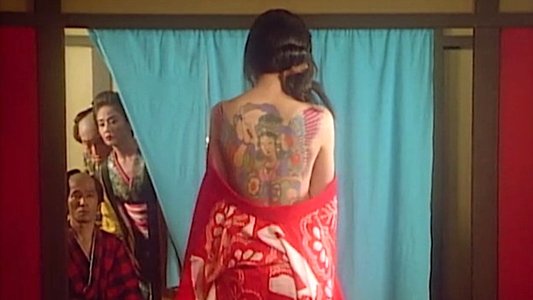 女郎蜘蛛