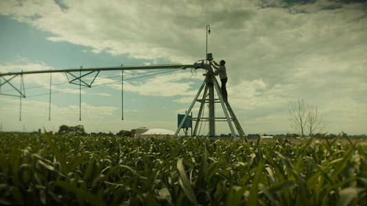 'Til Harvest Comes