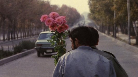 کلوزآپ ، نمای نزدیک