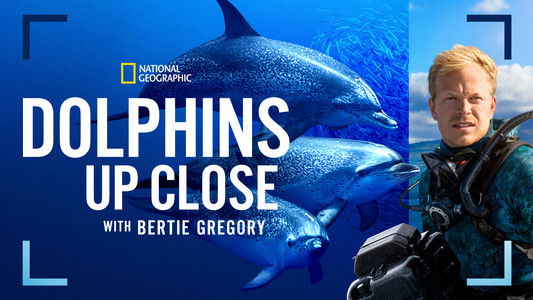 Dolphins Up Close with Bertie Gregory