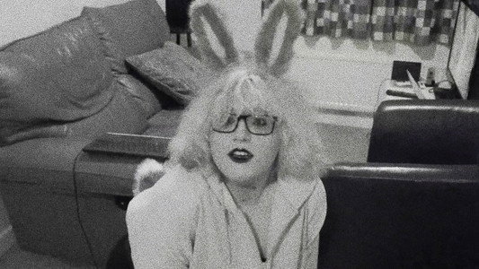 Pet Bunny