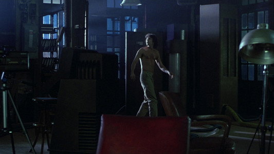 The Fly