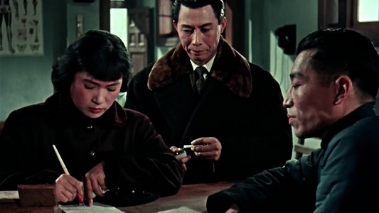 女篮五号