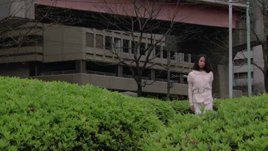 六本木令嬢　ふ・し・だ・ら