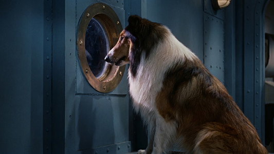 Lassie, the Voyager