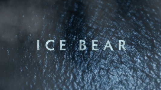 Polar Bears: Ice Bear