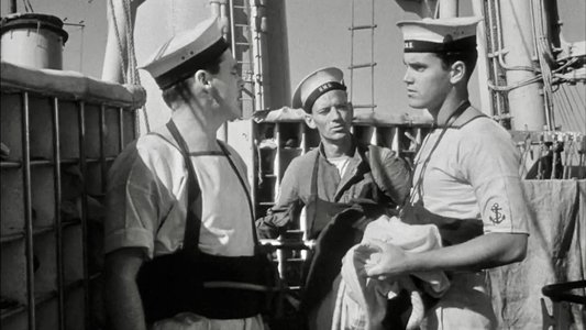 Sailor of the King