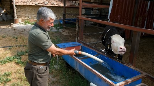 Kaybolan Sularda Pedal Çevirmek