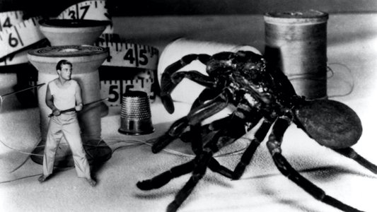 The Incredible Shrinking Man