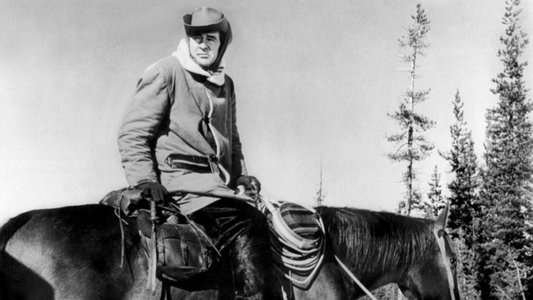 Day of the Outlaw