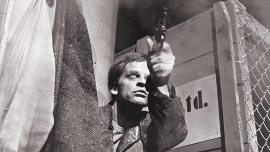 Der Zinker