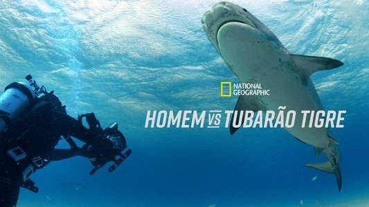 Man vs. Shark
