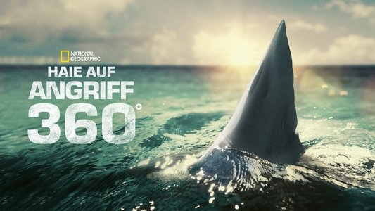 When Sharks Attack 360