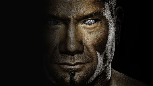 WWE Elimination Chamber 2010