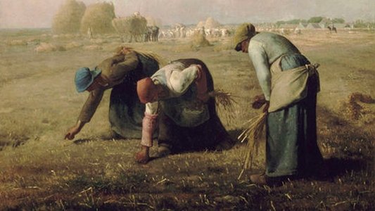 Les Glaneurs et la Glaneuse