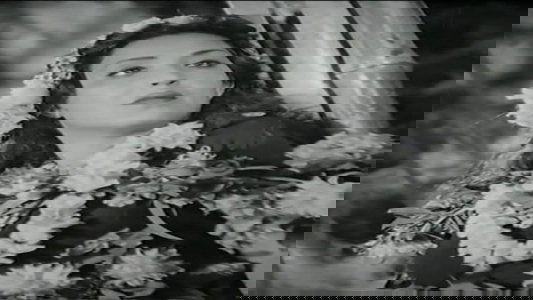 وادي النجوم