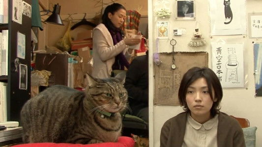 私は猫ストーカー