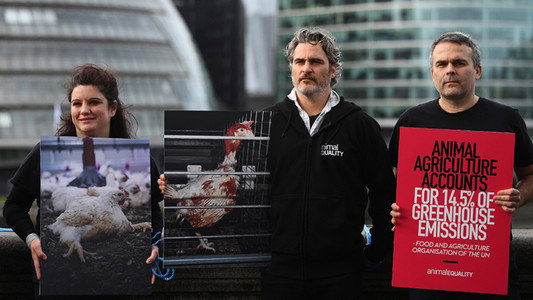 Joaquin Phoenix — Schauspieler der Extreme