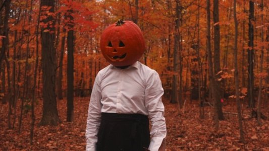 Ma citrouille, mon beau