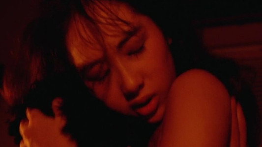 女豹