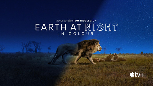 Earth at Night in Colour