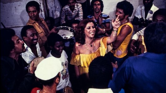 Andança: Os Encontros e as Memórias de Beth Carvalho