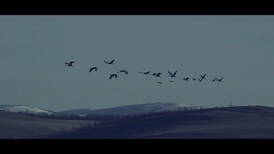 Эх орон дуудаж байна