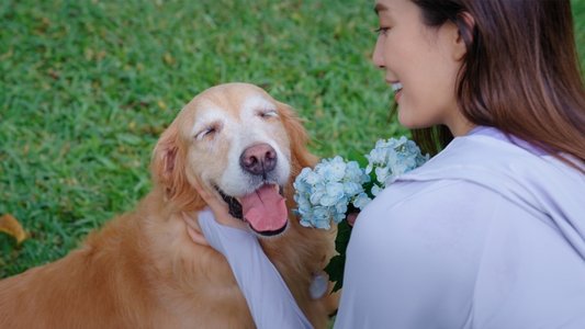 宠他，还是爱我？