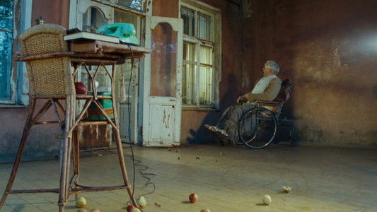 Три истории