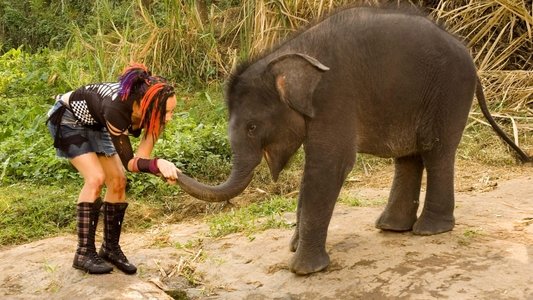 Zoop In India