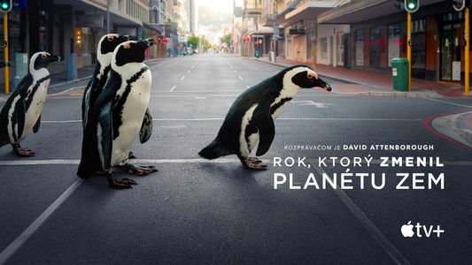 The Year Earth Changed