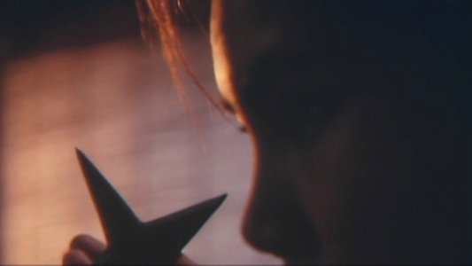 痴漢電車　極秘本番