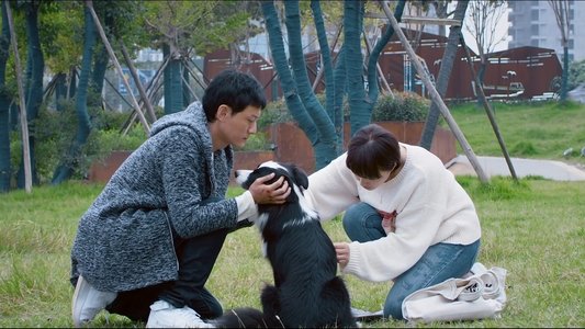犬爱