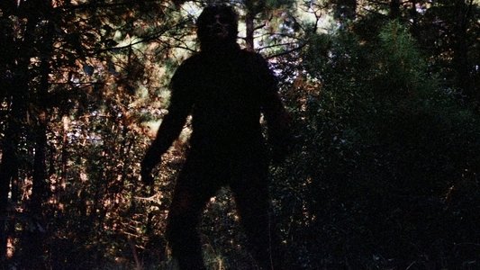 Creature from Black Lake