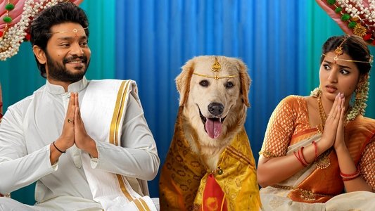 స్లమ్ డాగ్ హస్బెండ్