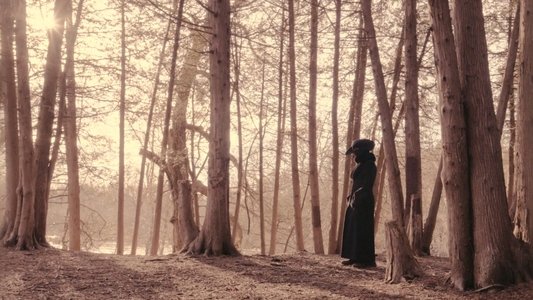 Cold Days From the Treetops