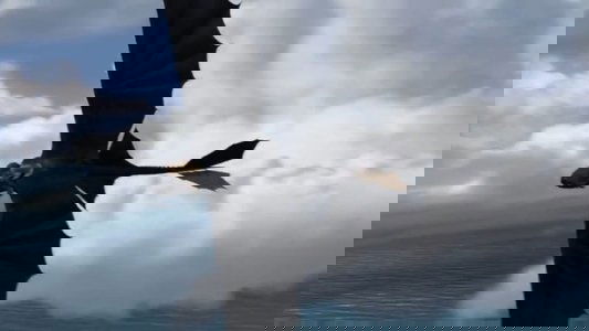 How to Train Your Dragon
