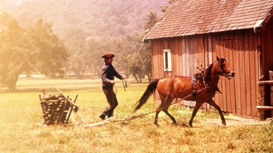 Justin Morgan Had a Horse