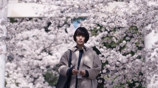 朽ちないサクラ