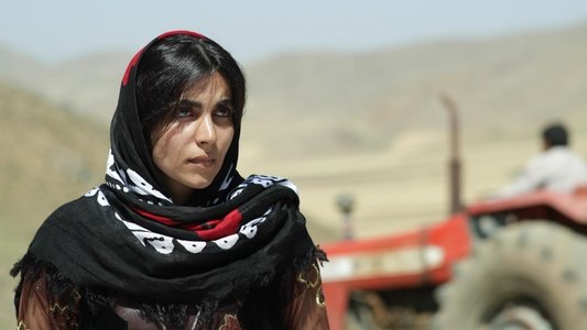 بێ وەرز