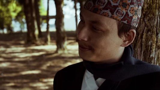 Jaari