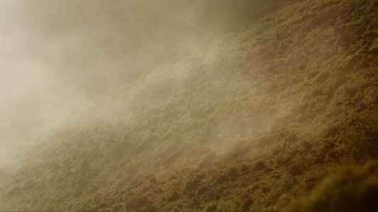 Salvajes, El Cuento Del Lobo