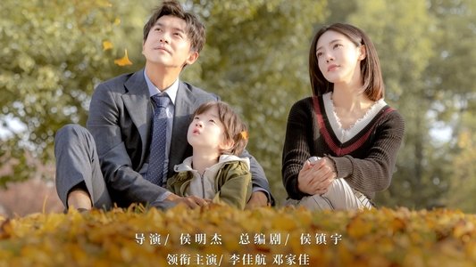 匆匆的青春