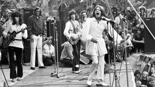 The Stones in the Park